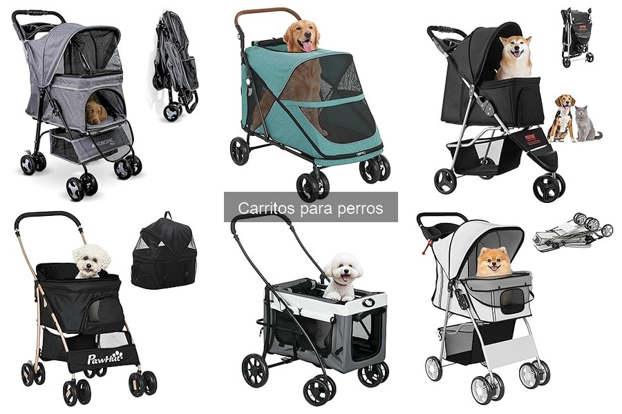 Tipos de carritos para perros según raza y tamaño