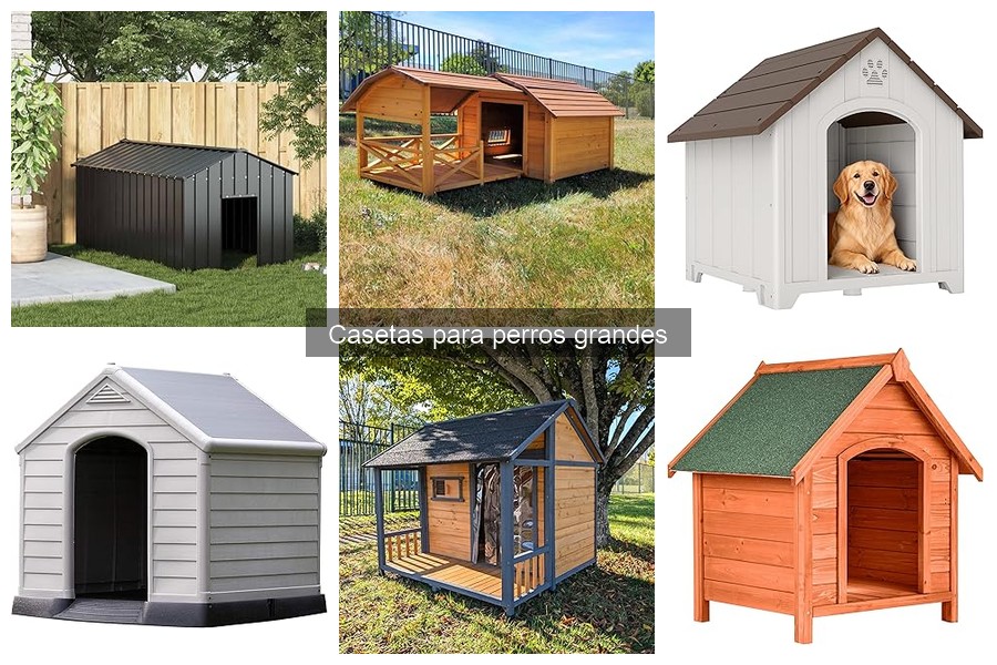 Tipos de Casetas para Perros Grandes: Madera, Plástico y Metal