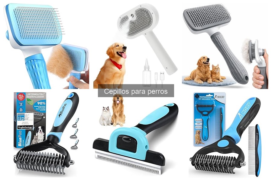 Tipos de cepillos para perros: guía completa para elegir