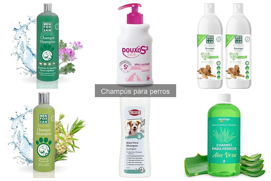 Tipos de champús para perros: Características y beneficios