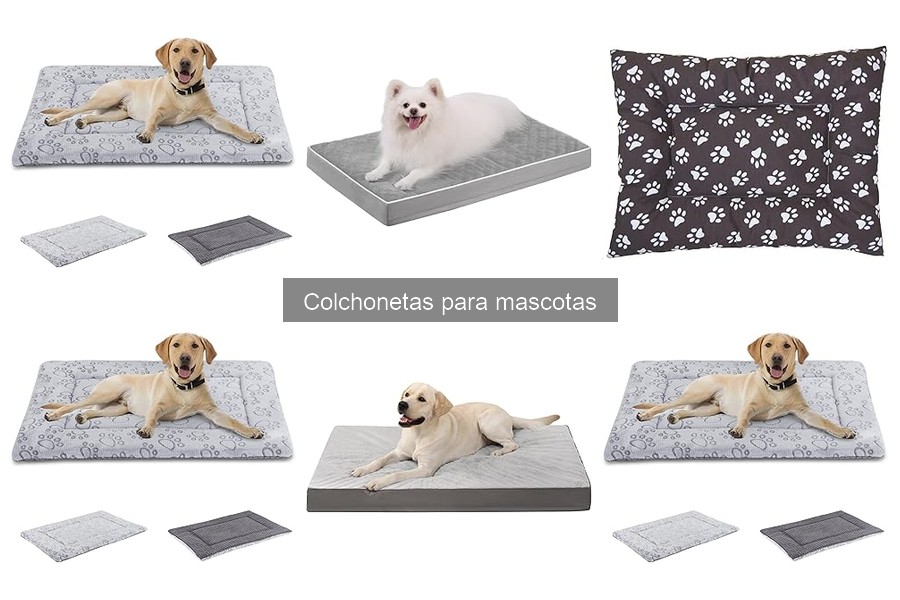 Tipos de colchonetas para mascotas: guía de opciones