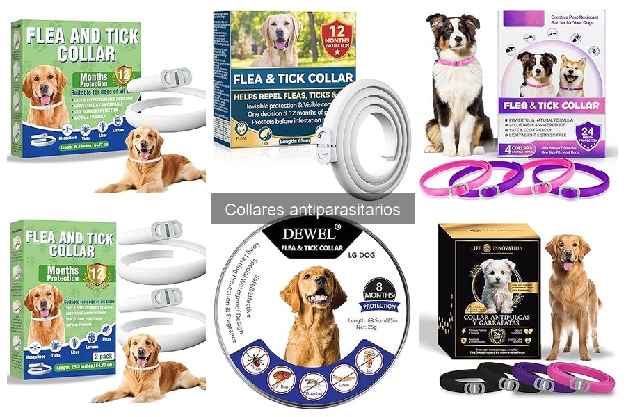 Tipos de collares antiparasitarios para perros: ¡Protege a tu mascota!