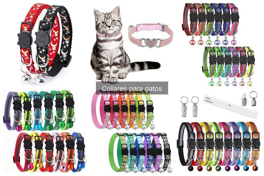 Tipos de collares para gatos: guía completa de opciones