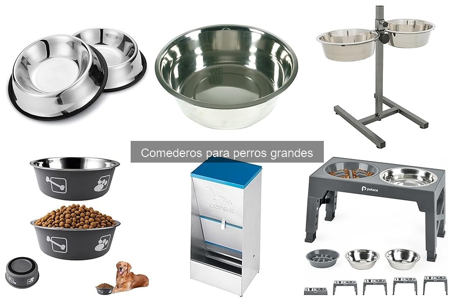 Tipos de comederos para perros grandes: guía completa