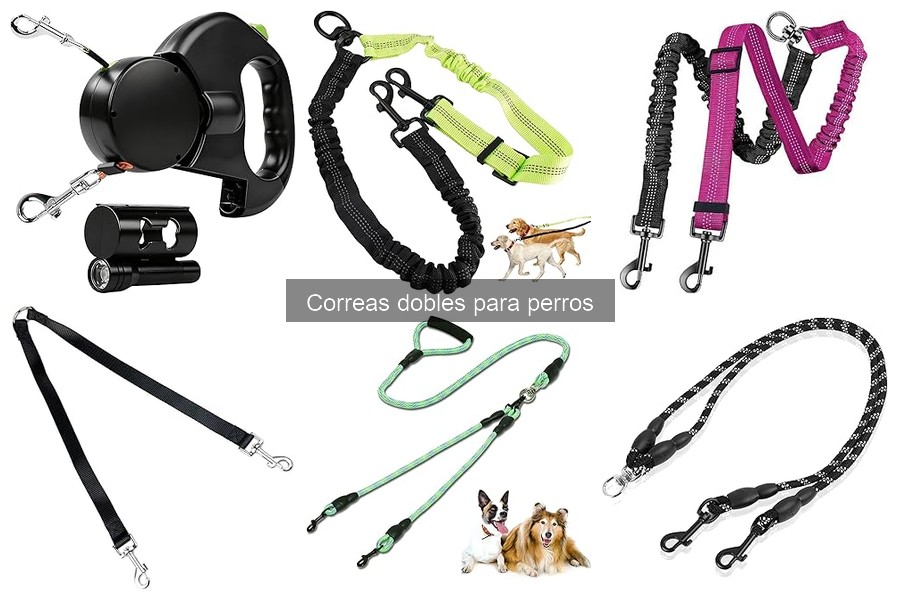 Tipos de correas dobles para perros: guía completa