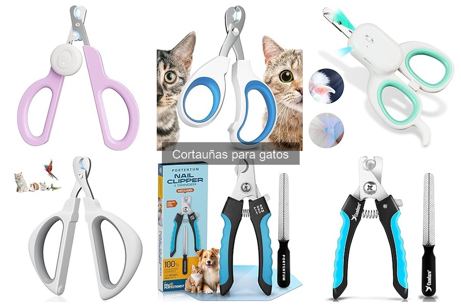 Tipos de cortauñas para gatos: ¿cuál elegir?