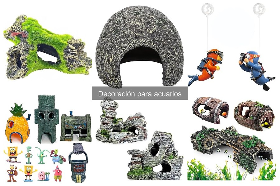 Tipos de decoración para acuarios: Guía completa