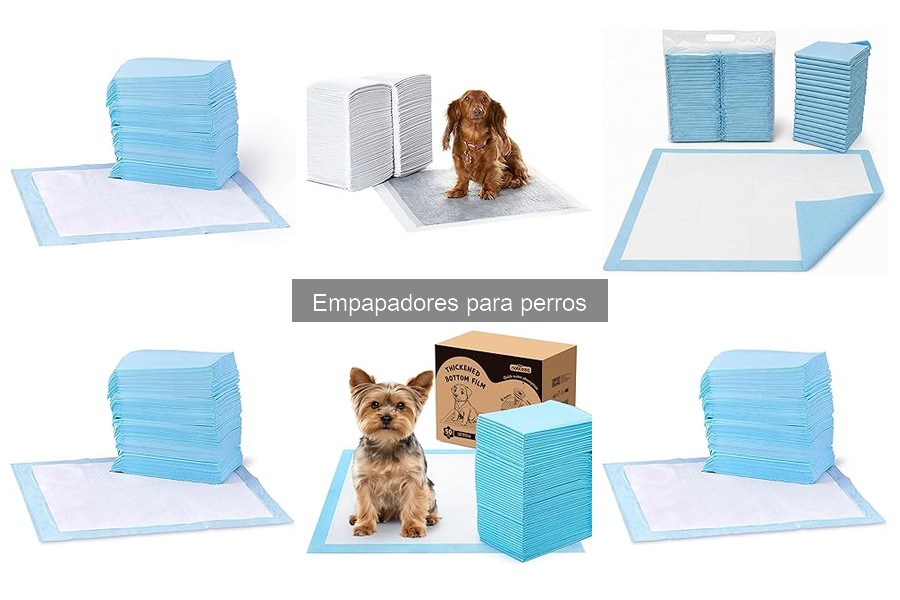 Tipos de empapadores para perros: guía y características