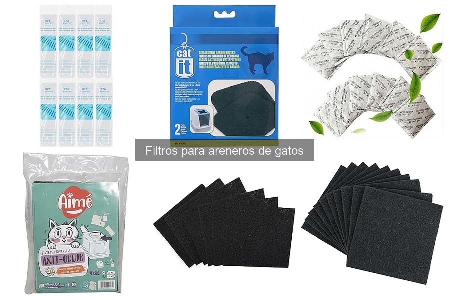 Tipos de filtros para areneros de gatos: características y usos