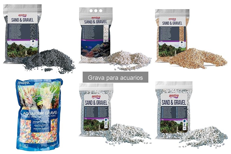 Tipos de grava para acuarios: guía de usos y variedades