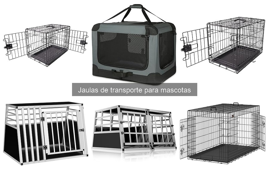 Tipos de jaulas de transporte para mascotas: guía completa