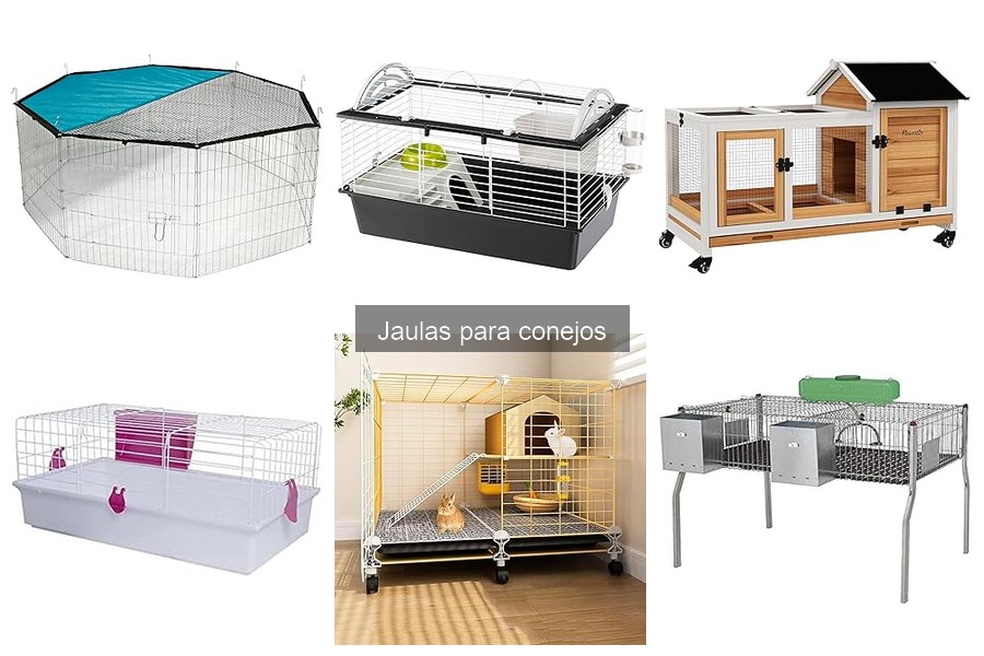 Tipos de jaulas para conejos: Guía completa y comparativa