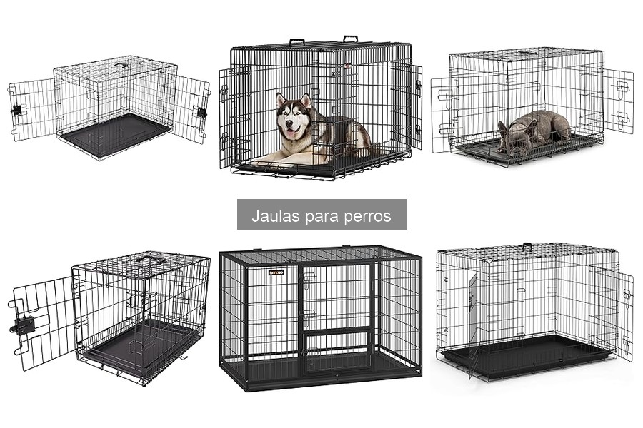 Tipos de Jaulas para Perros: Guía Completa 2023