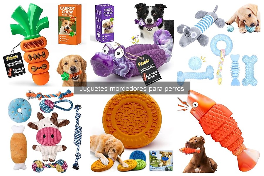 Tipos de juguetes mordedores para perros: guía completa