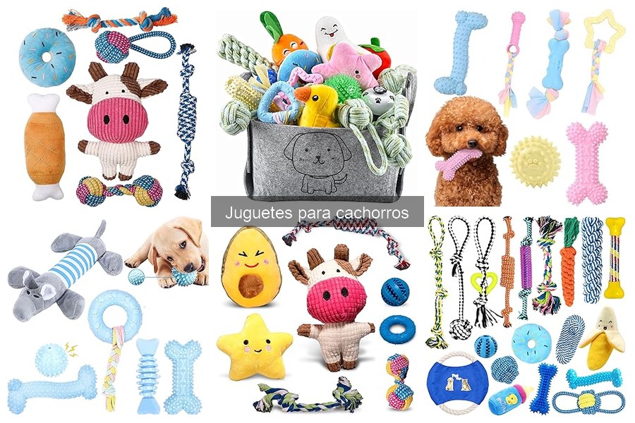 Tipos de juguetes para cachorros: ¡mejores opciones y beneficios!