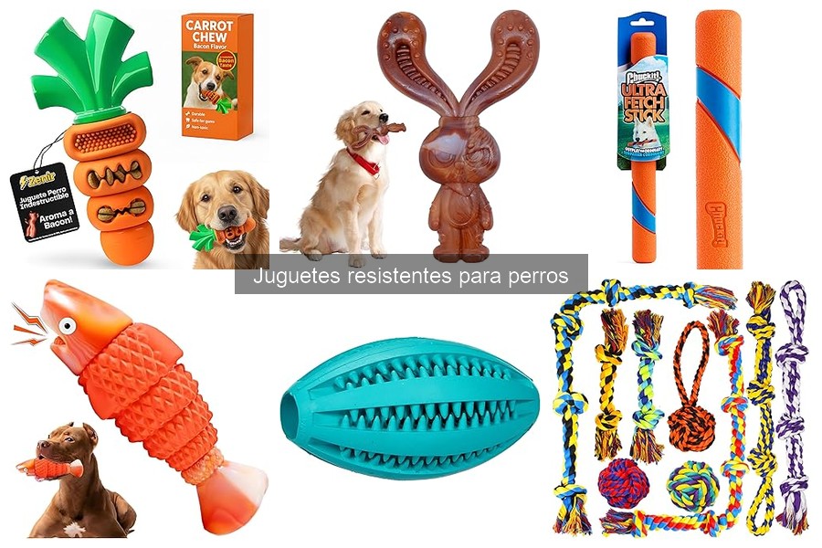 Tipos de juguetes resistentes para perros: Guía completa