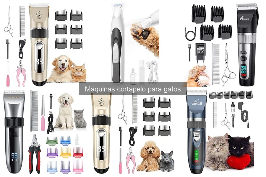 Tipos de máquinas cortapelo para gatos: Guía completa
