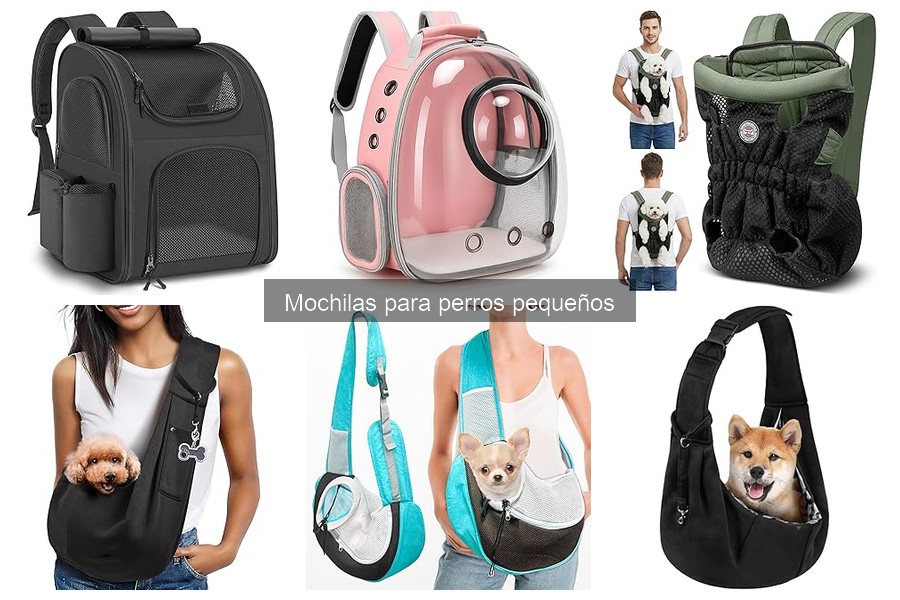 Tipos de mochilas para perros pequeños y sus características