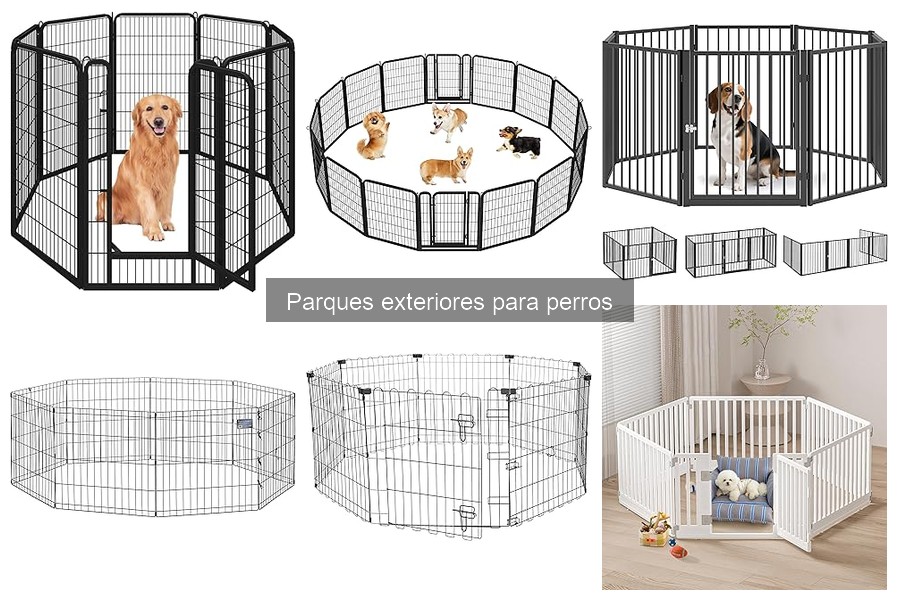 Tipos de parques exteriores para perros: guía completa