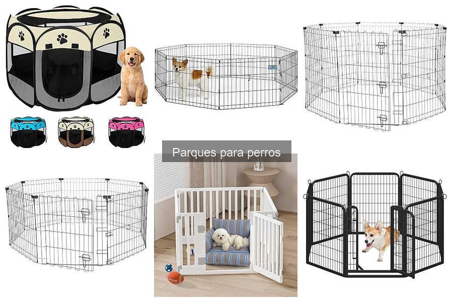 Tipos de parques para perros: ¡Encuentra el mejor para tu mascota!