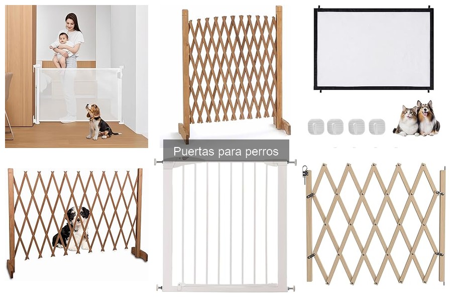 Tipos de puertas para perros: guía completa de opciones