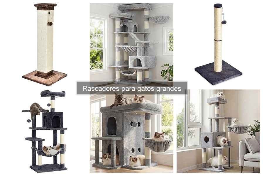 Tipos de rascadores para gatos grandes: ventajas y desventajas