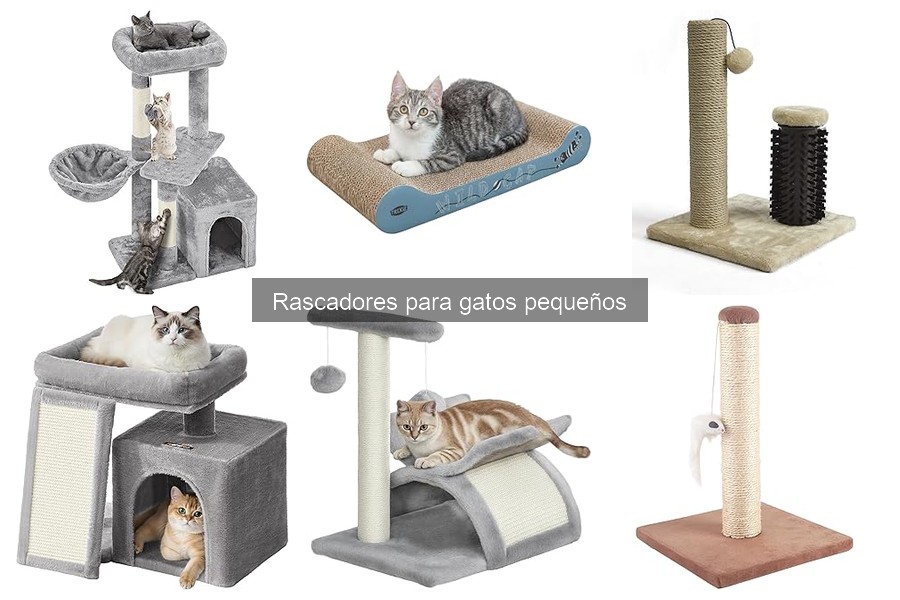 Tipos de rascadores para gatos pequeños: Guía y características