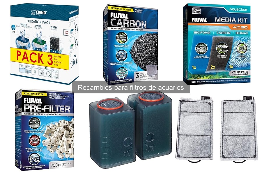 Tipos de recambios para filtros de acuarios: guía completa