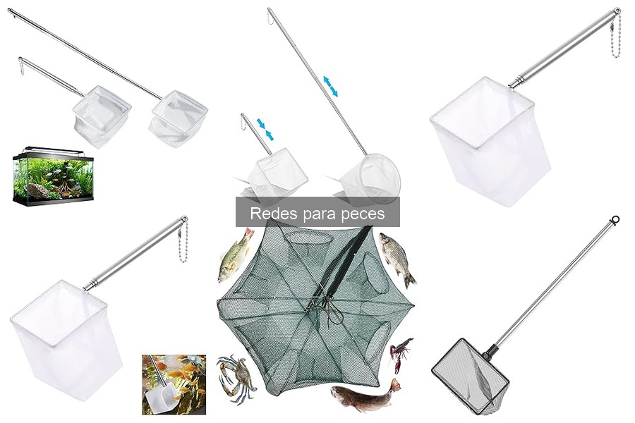 Tipos de redes para peces: Guía completa para elegir la mejor