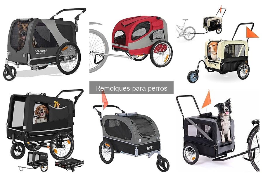 Tipos de remolques para perros: guía completa para elegir