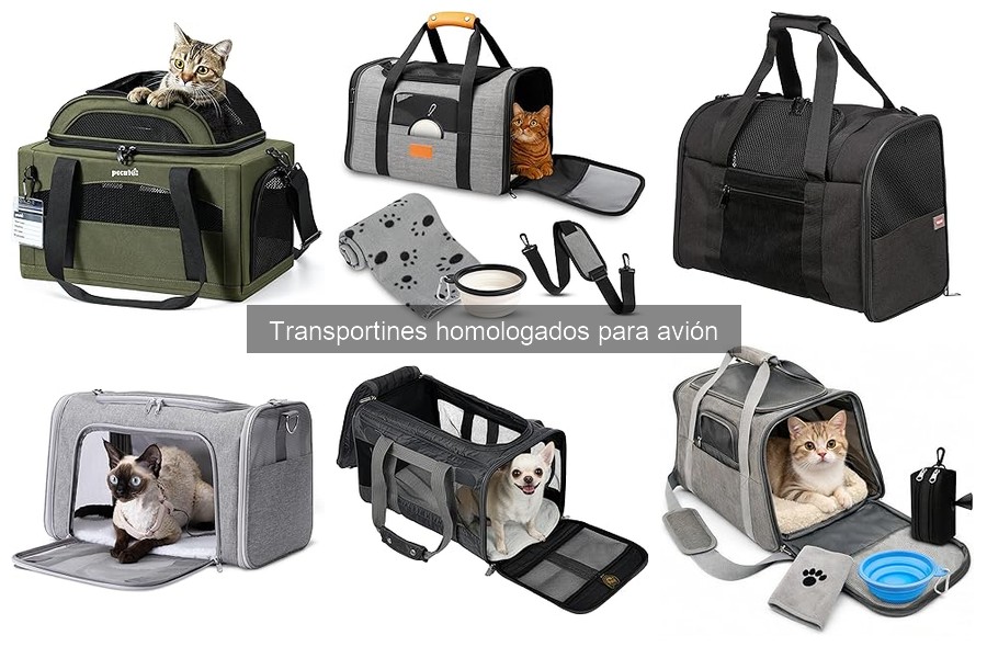 Tipos de transportines homologados para avión: guía completa