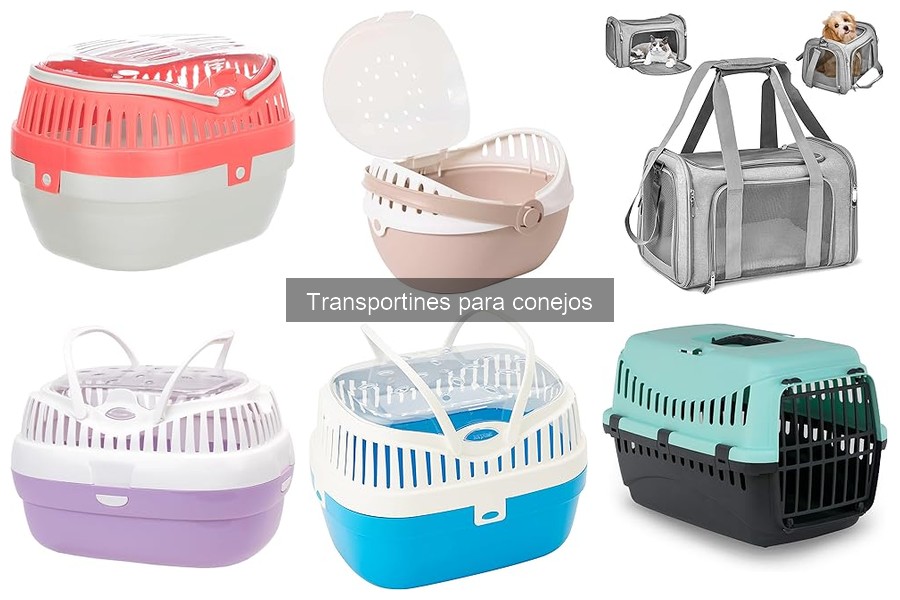 Tipos de transportines ideales para conejos