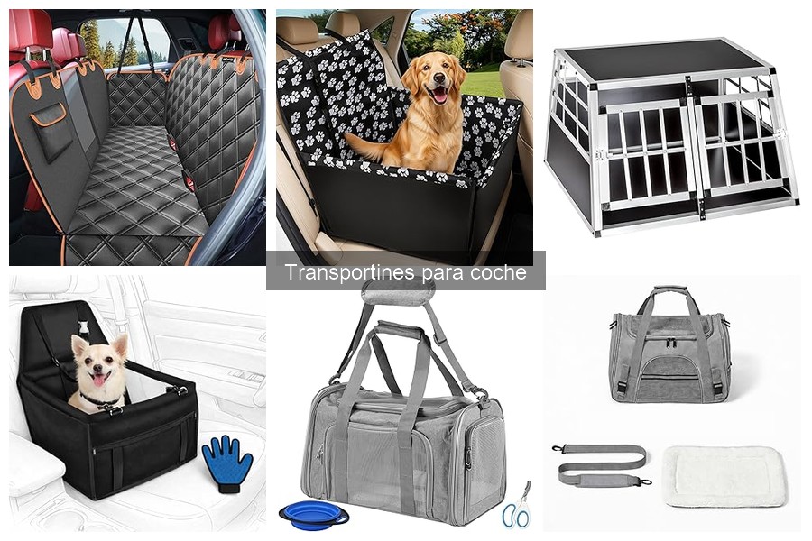 Tipos de transportines para coche: guía completa para mascotas