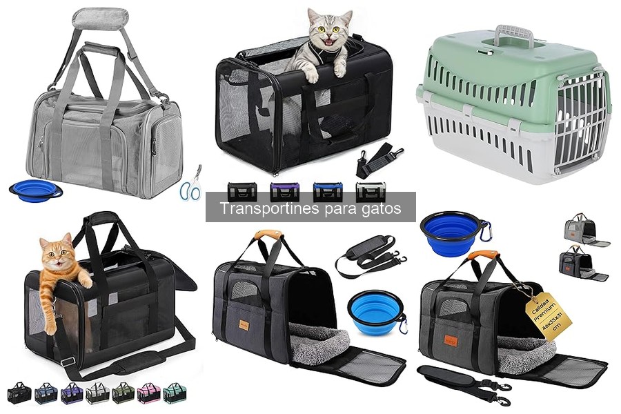 Tipos de transportines para gatos: Comparativa y Guía