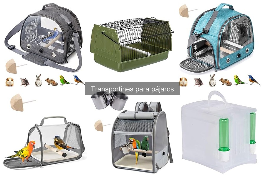 Tipos de transportines para pájaros: guía completa