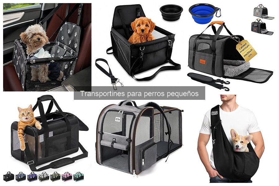 Tipos de transportines para perros pequeños: guía completa