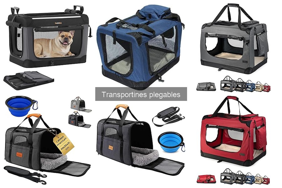 Tipos de transportines plegables para mascotas y sus ventajas