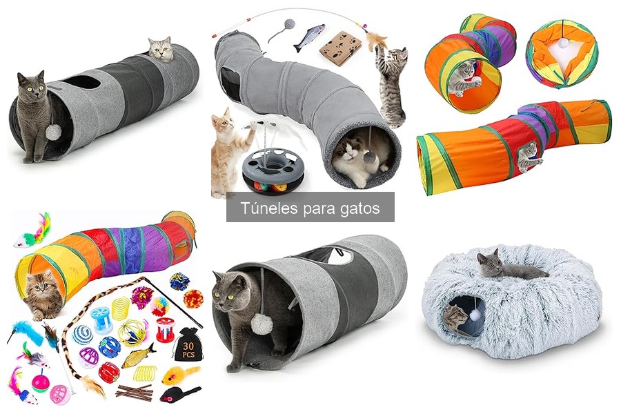 Tipos de túneles para gatos: diseños y materiales