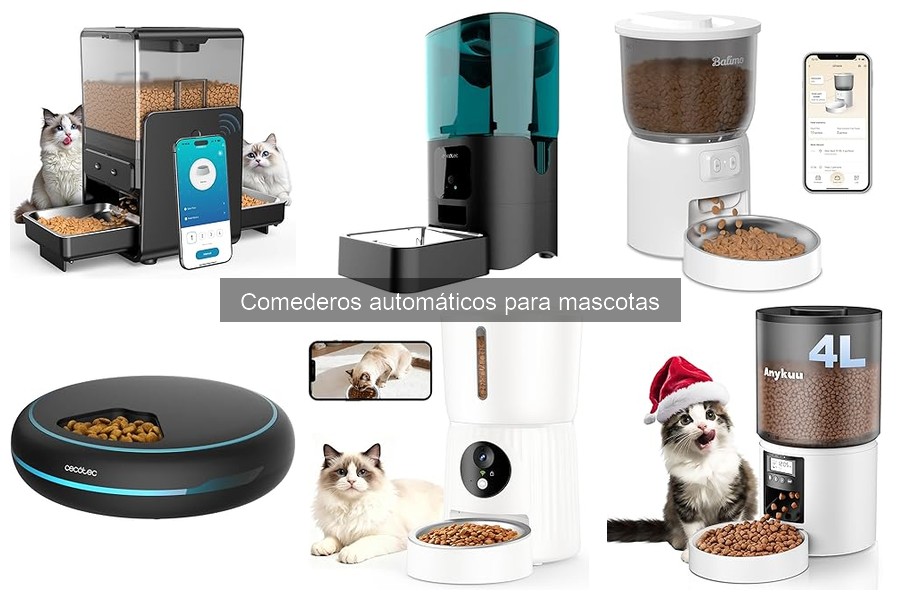 Tips para mantener comederos automáticos en buen estado