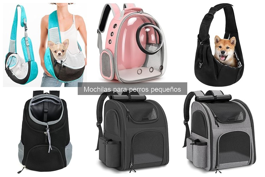 Todo sobre la mochila para perros pequeños: características y usos
