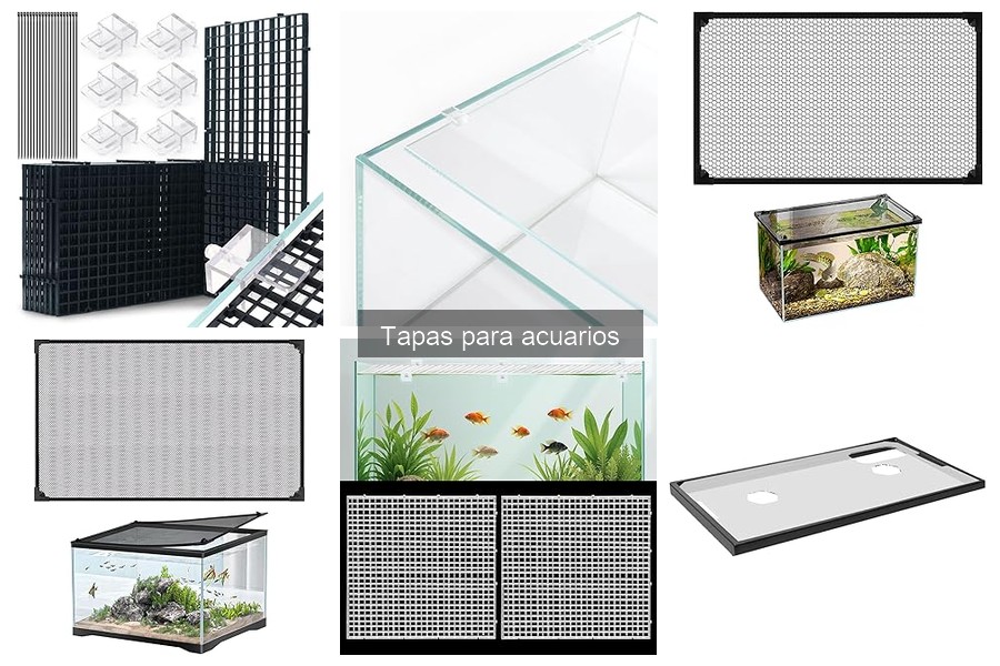 Todo sobre las tapas para acuarios: funciones e importancia