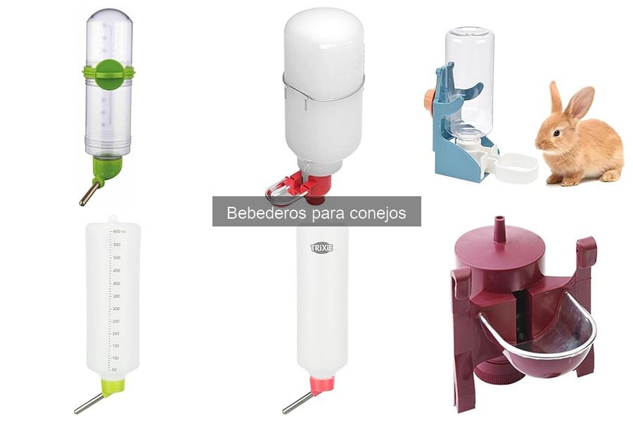 Todo sobre los bebederos para conejos: Guía completa