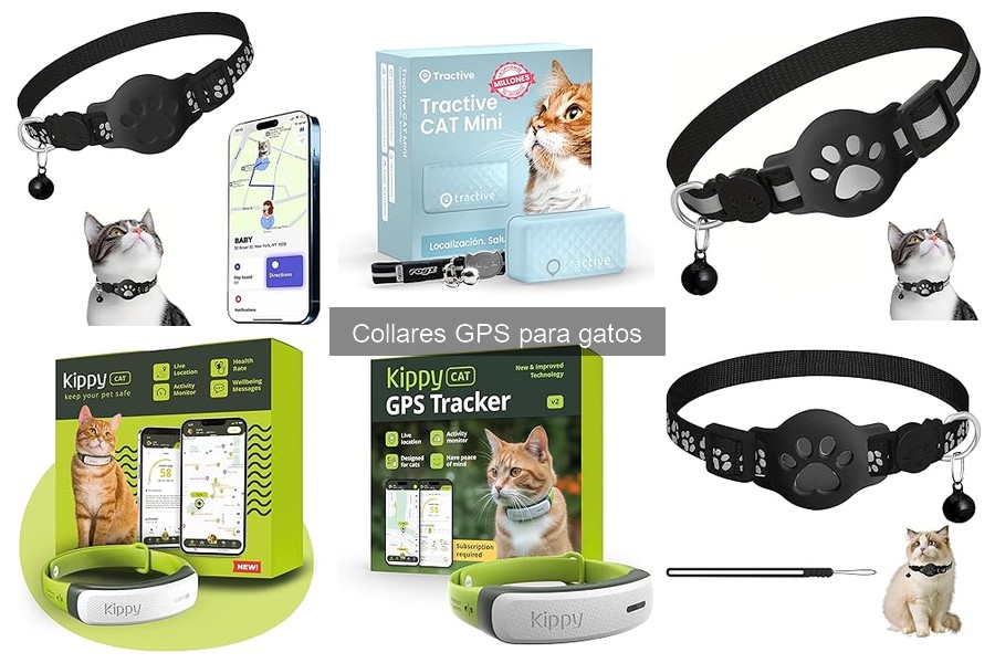 Todo sobre los collares GPS para gatos: características y funciones