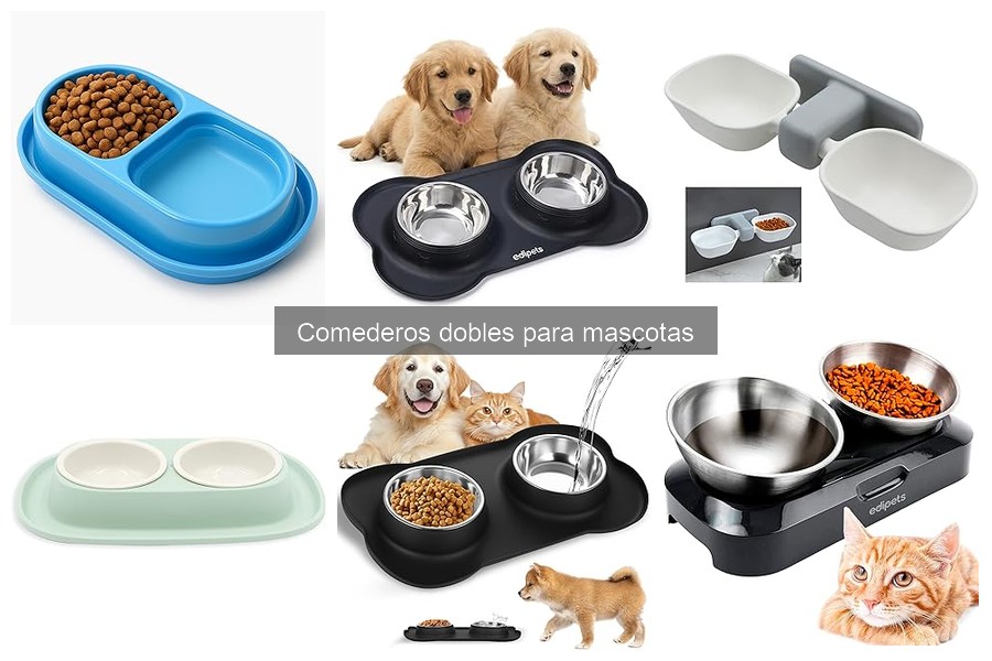 Todo sobre los comederos dobles para mascotas: beneficios y tipos