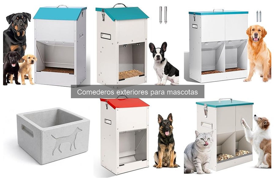 Todo sobre los comederos exteriores para mascotas