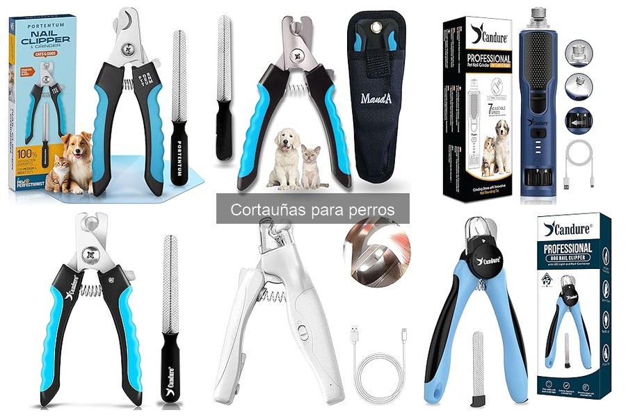 Todo sobre los cortauñas para perros: importancia y uso