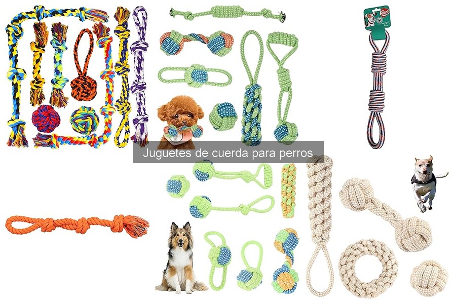 Todo sobre los juguetes de cuerda para perros