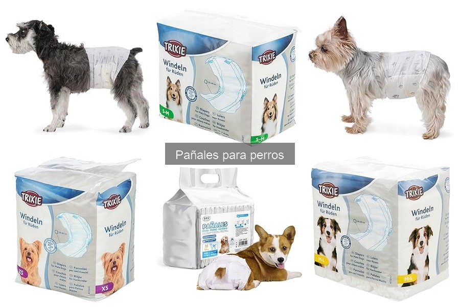 Todo sobre pañales para perros: ¿qué son y para qué sirven?