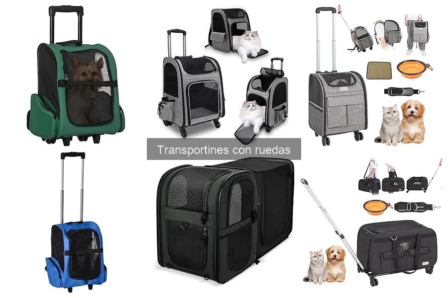 Transportines con Ruedas: Soluciones para Movilidad Reducida