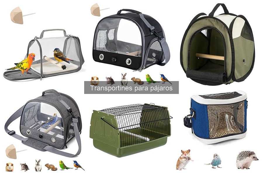 Transportines de viaje para aves: ¿Son realmente necesarios?